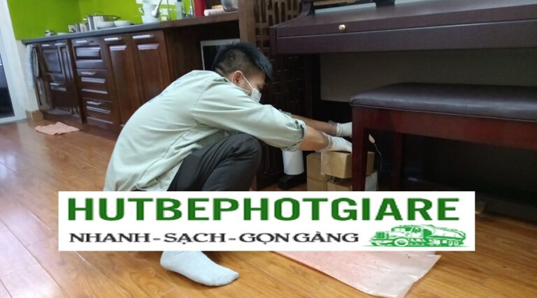 Dịch vụ diệt kiến hiệu quả tại Đồng Tháp